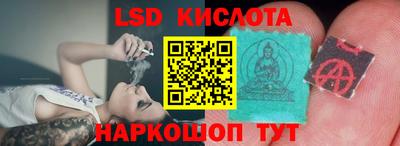 индика Владимир