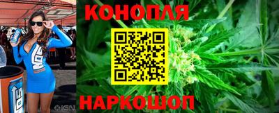 индика Владимир