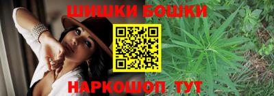 индика Владимир