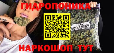 индика Владимир